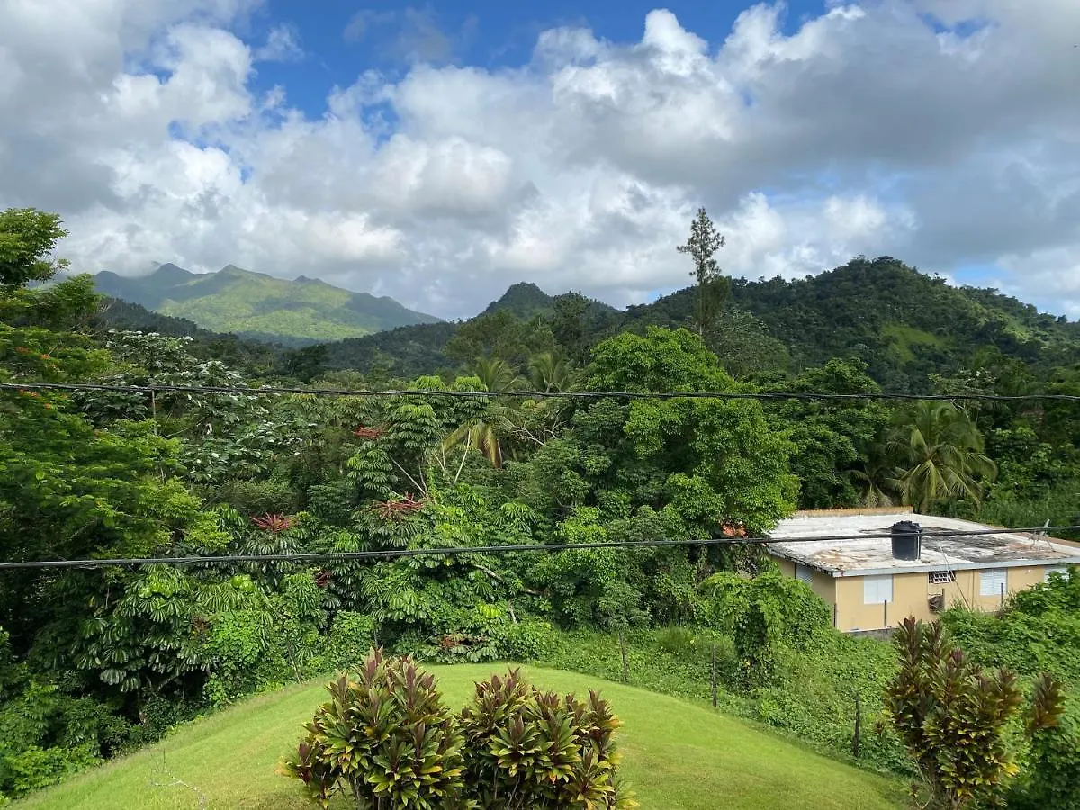 Rainforest Retreat 15 Min From The Beach Luquillo Puerto Rico