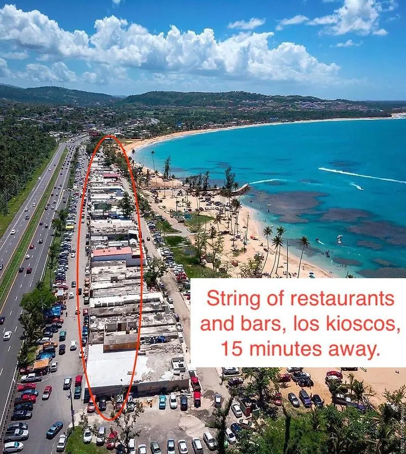 Rainforest Retreat 15 Min From The Beach Luquillo