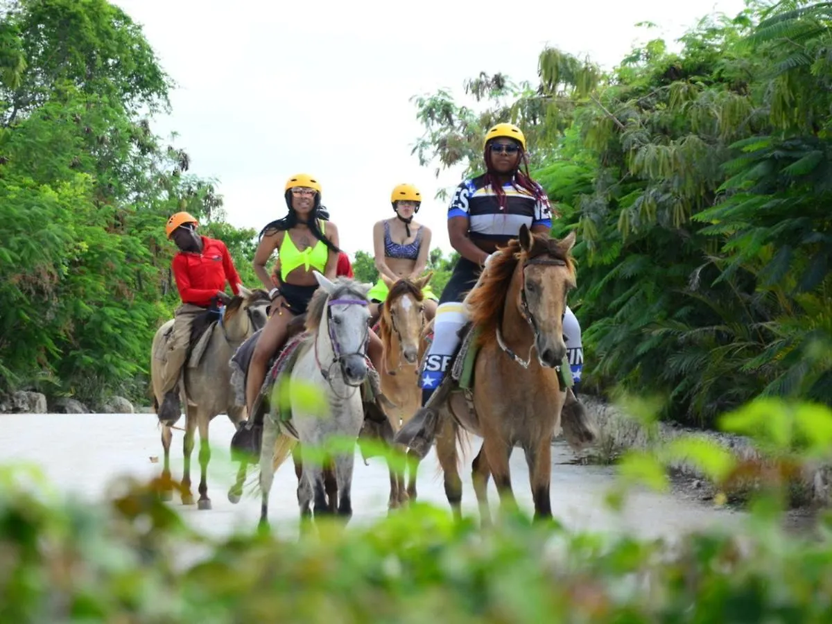 Rainforest Retreat 15 Min From The Beach Luquillo
