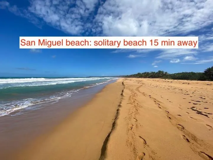 Сasa de vacaciones Rainforest Retreat 15 Min From The Beach Luquillo