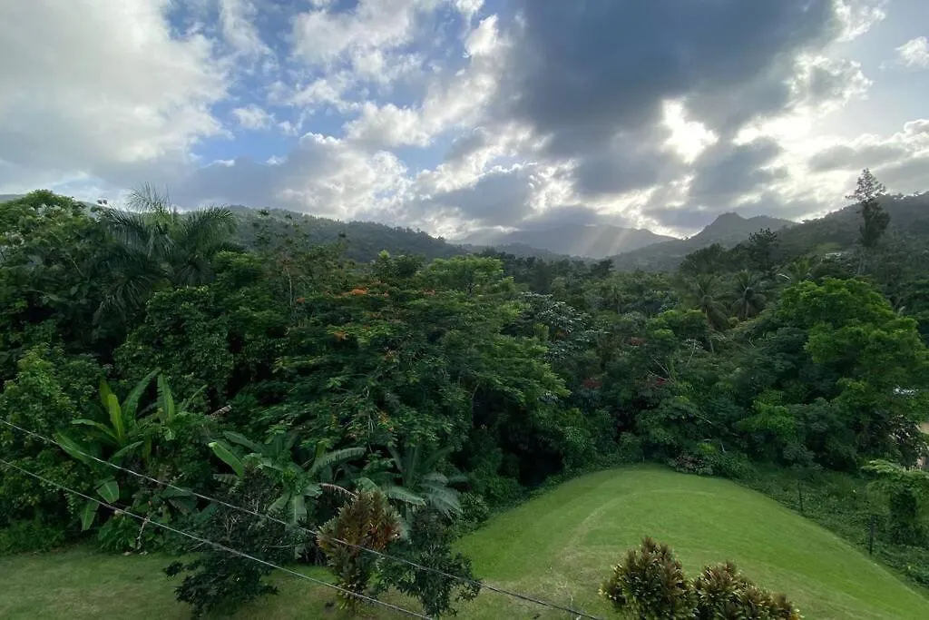 別荘 Rainforest Retreat 15 Min From The Beach ルキリョ