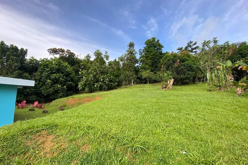 Rainforest Retreat 15 Min From The Beach ルキリョ 0*,  プエルトリコ