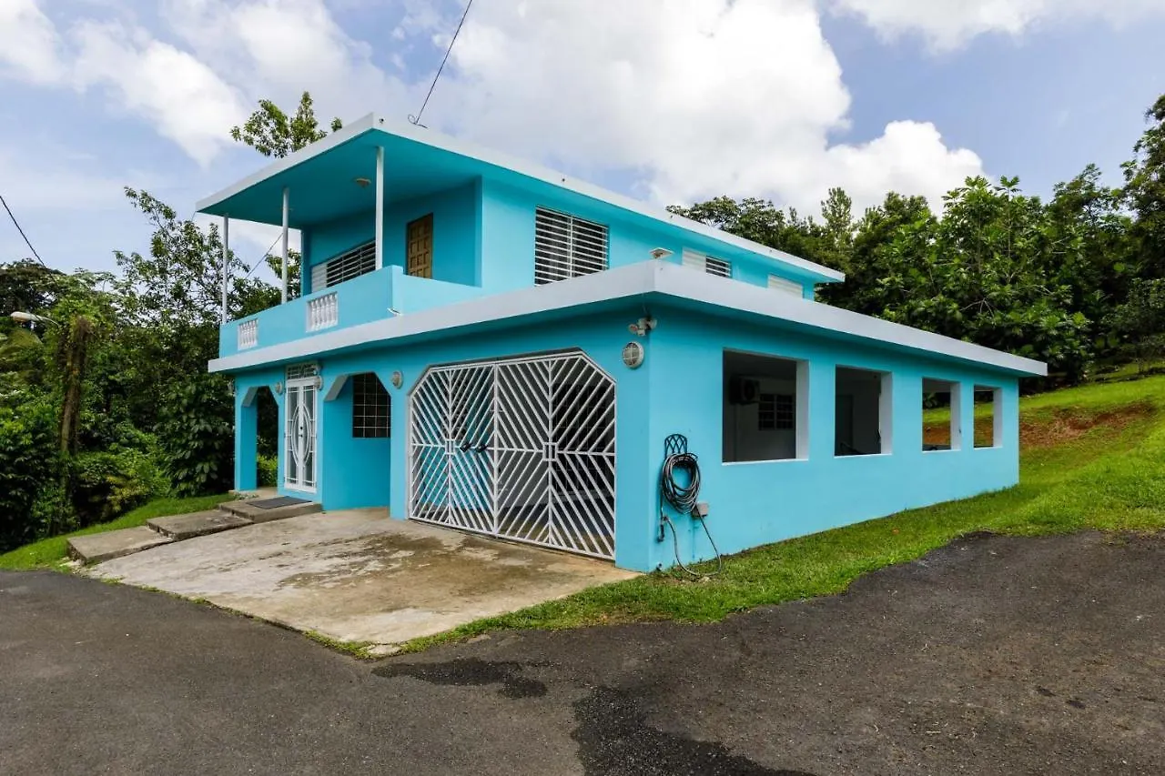 別荘 Rainforest Retreat 15 Min From The Beach ルキリョ プエルトリコ