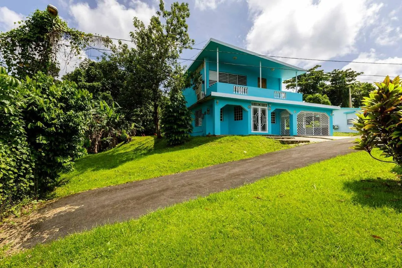 別荘 Rainforest Retreat 15 Min From The Beach ルキリョ